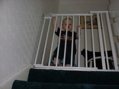 babygate